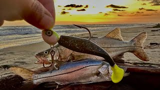 Pesca de RÓBALOS de PLAYA || TIPS de PESCA || COMO pescar de ORILLA.