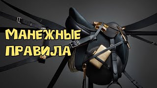 Манежные правила. Лошади