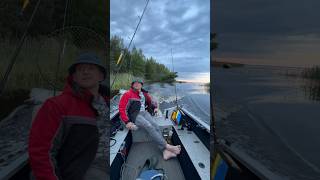 Рыбалка на Рыбинке в Прозорово! #fishing