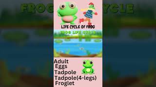 Frog Life Cycle|#kidseducation #shorts #viral#froglifecycle #funfactchannel #generalknowledge