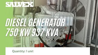 Virtual Product Inspection at Salvex - Diesel Generator 750 KW 937 KVA