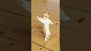 Funny Cat Dance 😂 funny cat dance video 🤣