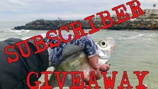 SUBSCRIBER GIVEAWAY / How to catch Walleye Surf Perch easy!!!