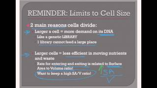 Introduction to Cell Division