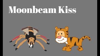 Bug World Production Music: Moonbeam Kiss