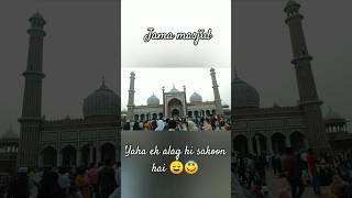 jama masjid Delhi❤️😇😌 #vlog #jamamasjid #travel #minivlog