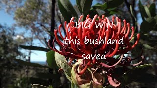 BUSHLAND TRASHED: the Ingleside Place Strategy 2021