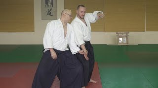 Aikido: Stephane Goffin Budapest 2017