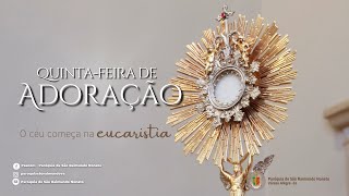 14 de Novembro de 2024 19h Santa Missa | 32º Semana do Tempo Comum | Quinta  - Feira