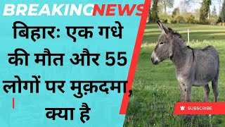 Bihar news: एक गधे की मौत और 55 लोगों पर मुक़दमा dadn Rajak the samta news