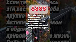 Знаки зодиака которые будут счастливы всю жизнь вместе  #гороскоп #знакизодиака #астрология