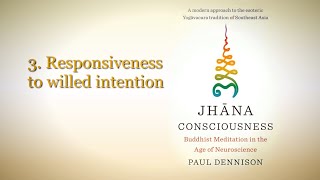 Brain-Body Responsiveness to Willed Intention During Development of the Jhānas