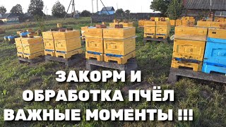 ЗАКОРМ И ОБРАБОТКА ПЧЁЛ. ВАЖНЫЕ МОМЕНТЫ !!!