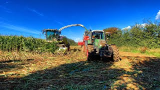 Ensilage de Maïs 🌽 avec une claas jaguar 860