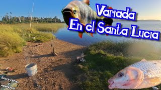 PESCA VARIADA🎣🎣 en la Barra del Santa Lucía //Montevideo, Uruguay// @entrecanasyaparejos2396