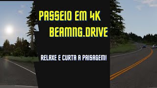 Rally Dia e Noite em Alta Velocidade nas Estradas Comuns do BeamNGDrivec om Carros deTráfego - 4K