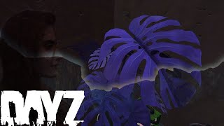 DayZ 1.19 Plants and Substances