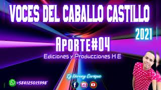 Aporte#4 Voces Del Caballo Castillo 2021