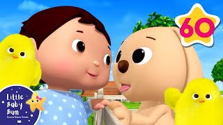 Cute Animals Song | Nursery Rhymes and Kids Songs | Little Baby Bum | Animal for Kids