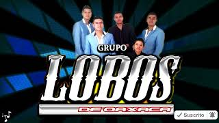 No Que No - Grupo Lobos De Oaxaca