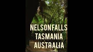 Nelson falls Tasmania Australia