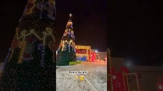 2024🎄ЁЛКА В ЦЕНТРЕ  САДОВОДЕ 😍🤫 #youtube #2024 #shorts А ВАМ НРАВИТСЯ?🎅🎄