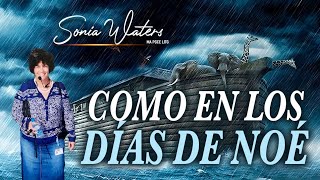 🔴Sonia Waters - COMO EN LOS DÍAS DE NOÉ