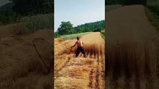 video#shrots ,triệu view, tik tok, trung hoa ,thú vị, (#196),#shorts