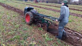 vintage. horticulture event Stanfield Norfolk  . 2024 part 1