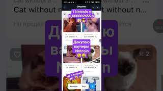 А сколько Not у тебя?😉 пиши в комменты👇👇👇 #notcoin #ton #nft #toncoin #крипта #cryptogames #bitcoin