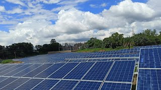 1MW solar plant || solar energy || #short || #shortbeta || #solarpanels