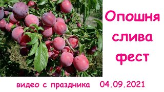 Опошня Слива ФЕСТ 04 09 2021. Отличный праздник!