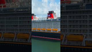 The beautiful Disney Dream.