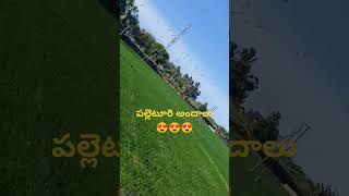 పల్లెటూరి అందాలు.#trending #ytshorts #new #love #whatsappstatus #nature #beautiful