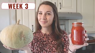 Quick and Easy 15-Minute Meals | Pantry Challenge Week 3