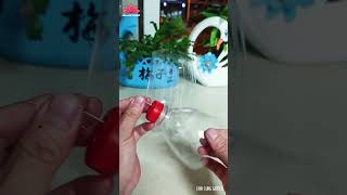 Recycle Plastic Bottle Planter Into Hanging Lantern Pot | Linh Lung Garden