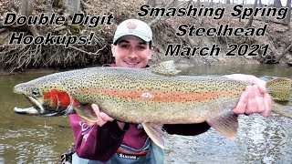 Indiana Tributary Steelhead: Smashing Spring Steel! 3/10/21