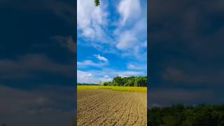 Village view|| Nature view|| gram Bangla|| #cookinggallery #shortsyoutube