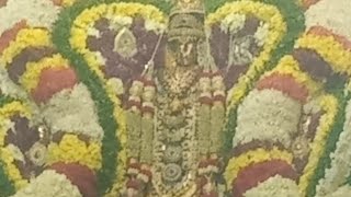 murugan thirukalyanam vibe🙏🏻