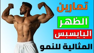 تمارين الظهر والبايسبس المثالية للنمو | دليل شامل للمبتدئين