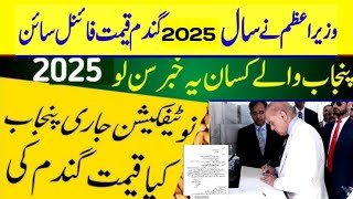 Wheat Support Price 2025 گندم کی نئی سرکاری قیمت فائنل اعلان