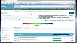CHEM 2300H Seminar: BLAST and Multiple Sequence Alignments