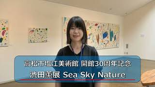 たかまつインフォメーション　高松市塩江美術館 開館30周年記念「渋田薫展 Sea Sky Nature」