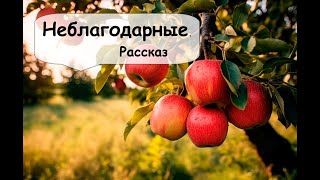 Кто прав в этой истории? Вечный конфликт отцов и детей. Аудиокнига,  истории из жизни