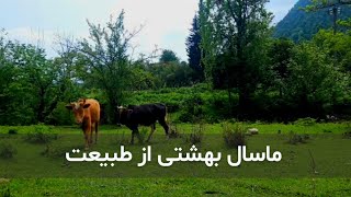 طبیعت آرامش بخش ماسال | طبیعت سرسبز ماسال