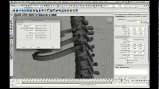 Modeling a Skeleton: Part 3, the Rib Cage (extrude along curve)