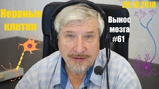 «Нервные клетки» Сергей Савельев (Вынос мозга #61)