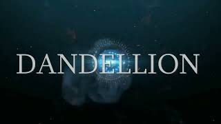 Dandellion - 3D Animation movie - series - intro