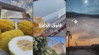 فلوق الديرة بالاجازة ✨| #vlog16