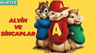 Alvin ve sincaplar NARİNE 2019